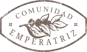 recurso 28alternativa